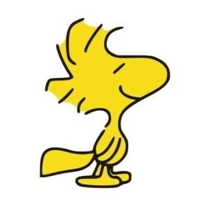 Meet your Posher, Joe